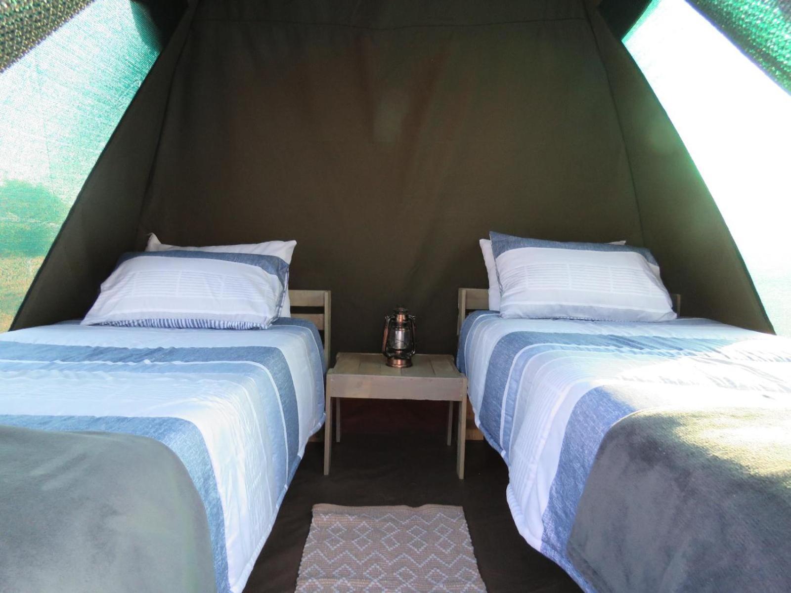 Hotel Tropic Of Capricorn Guest Farm Rehoboth Pokoj fotografie
